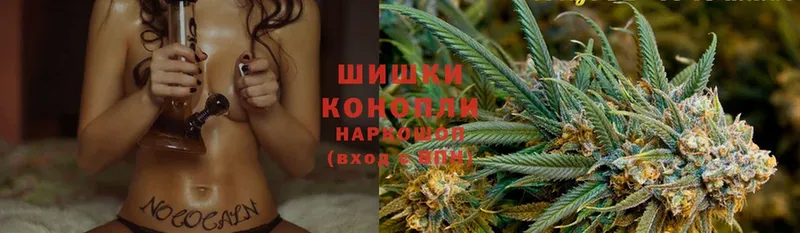 shop телеграм  Кашин  Шишки марихуана Amnesia  наркошоп 